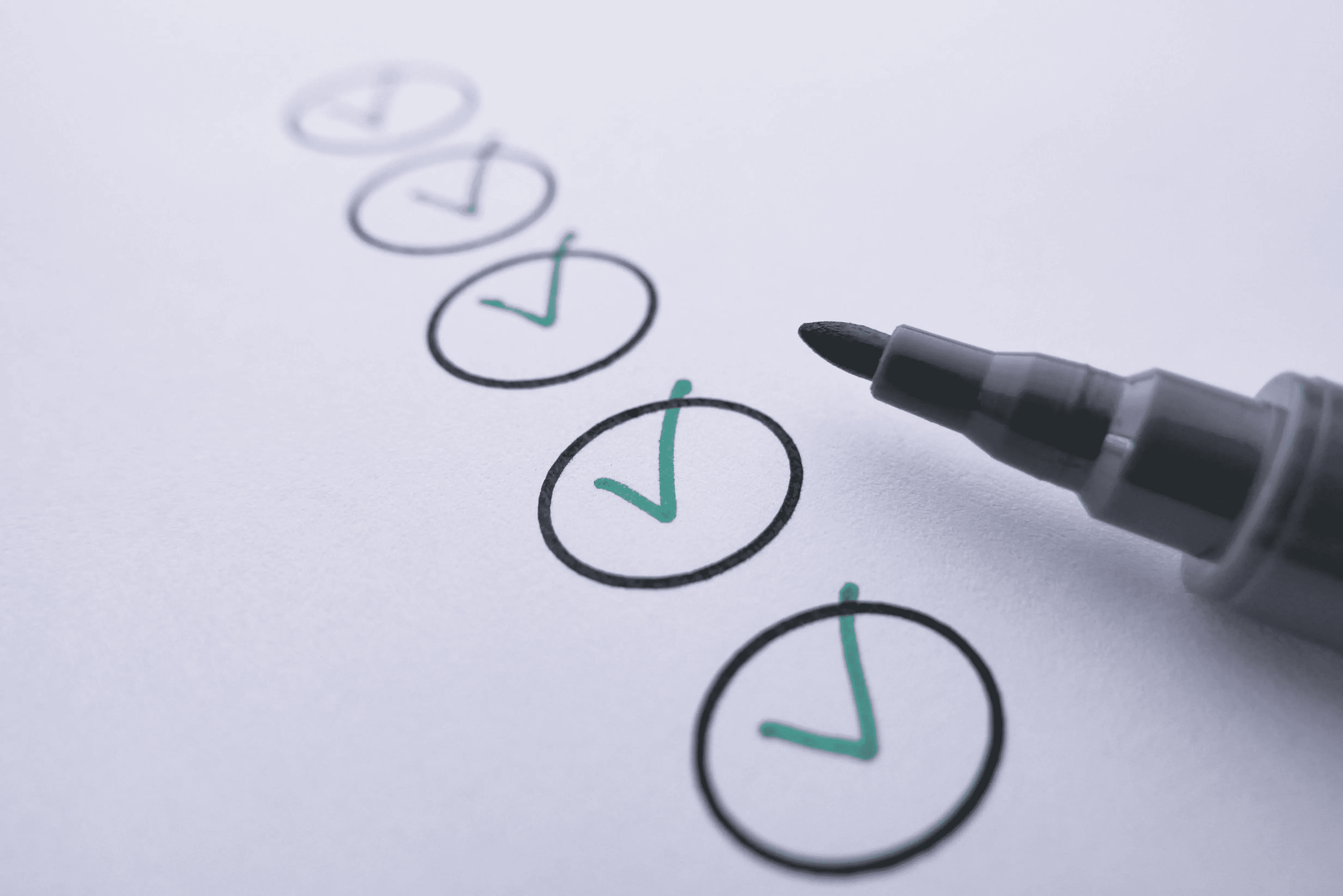 Website accessibility audit showing contrast and compliance checks